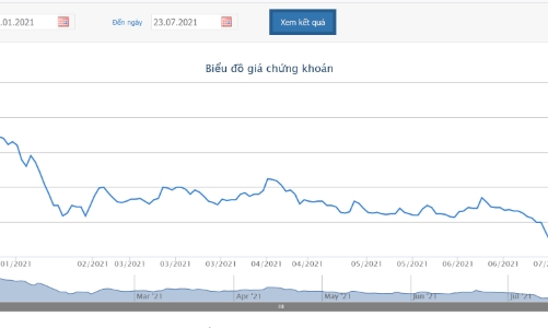 HNG dừng phát hành cổ phiếu để hoán đổi nợ và chào bán cổ phiếu riêng lẻ cho Thagrico