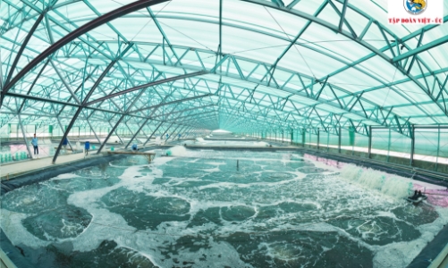 Cả 10 thành viên tập đoàn Việt Úc đạt chứng nhận doanh nghiệp nông nghiệp công nghệ cao