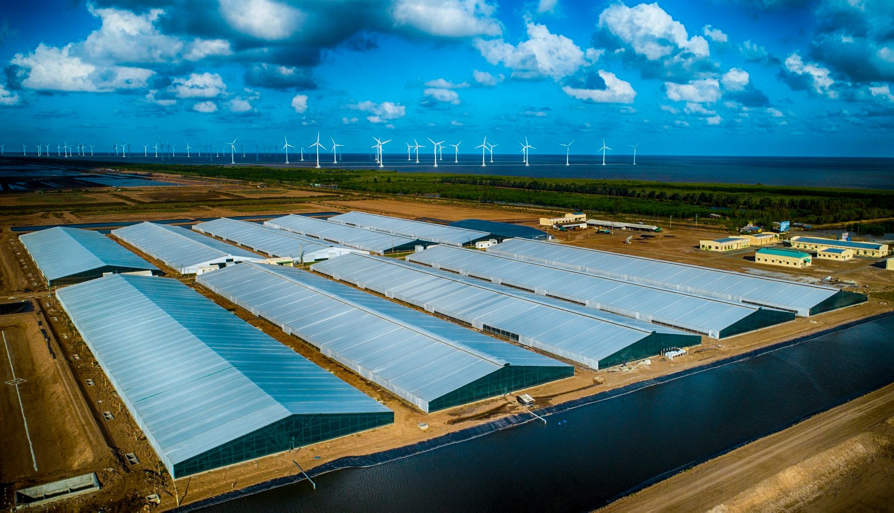 Trong ng&agrave;nh nu&ocirc;i t&ocirc;m, để quyết định đồng h&agrave;nh c&ugrave;ng con giống của doanh nghiệp n&agrave;o, b&agrave; con thường dựa v&agrave;o uy t&iacute;n thương hiệu của doanh nghiệp, m&agrave; ở đ&oacute; c&aacute;c chứng nhận c&oacute; gi&aacute; trị trong v&agrave; ngo&agrave;i nước sẽ l&agrave; căn cứ ch&iacute;nh để đ&aacute;nh gi&aacute;.