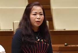 Đại biểu Vũ Thị Lưu Mai, Đoàn thành phố Hà Nội
