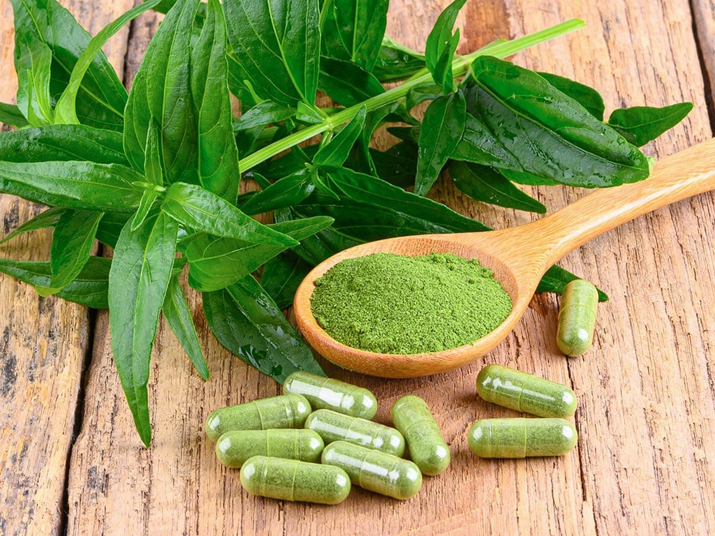 Cục Quản lý Y, Dược cổ truyền cảnh báo: Người dân không nên tự ý mua xuyên tâm liên về sử dụng, mà chỉ sử dụng thuốc xuyên tâm liên theo chỉ dẫn của thầy thuốc.