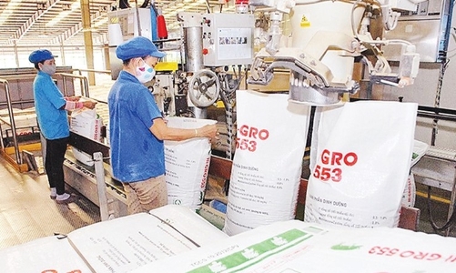 Giảm tối đa 3% thuế nhập khẩu ngô, lúa mỳ, giúp thức ăn chăn nuôi, bánh kẹo, thực phẩm hưởng lợi