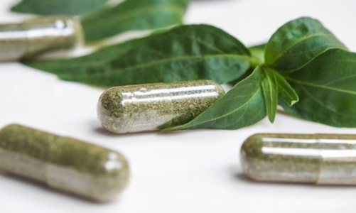 Bộ Y tế thu hồi công văn về 12 loại thuốc y học cổ truyền phòng, hỗ trợ điều trị Covid-19