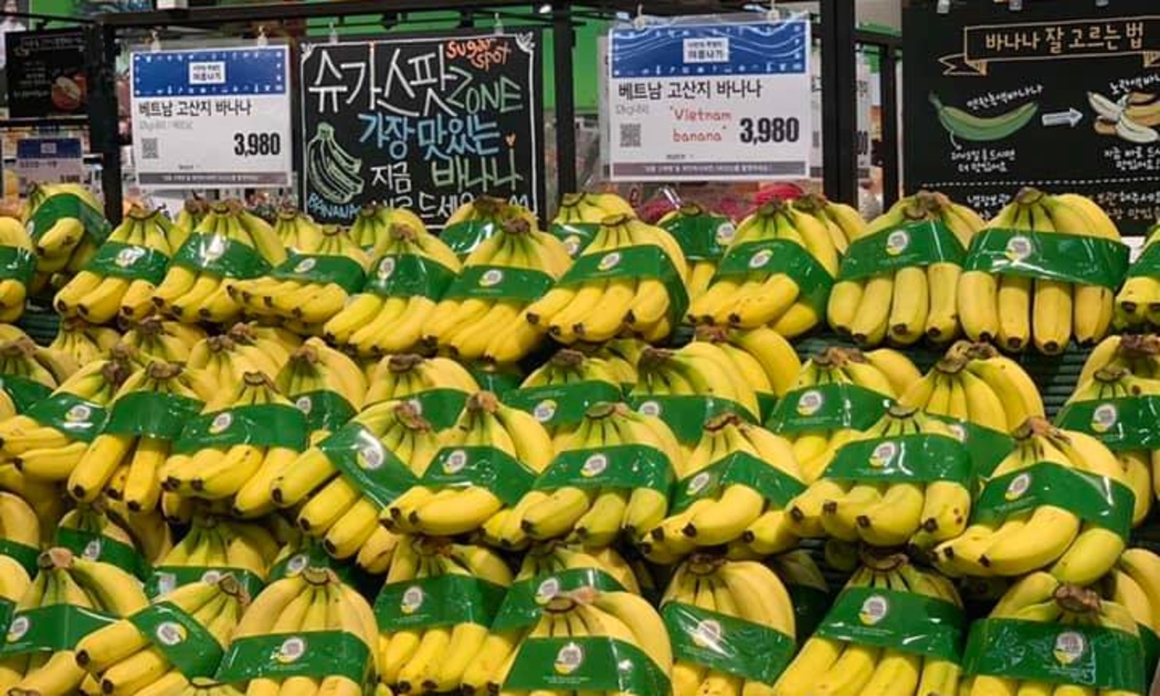 Chuối Việt Nam lần đầu tiên được bày bán tại siêu thị iMart của Hàn Quốc tháng 7/2020.