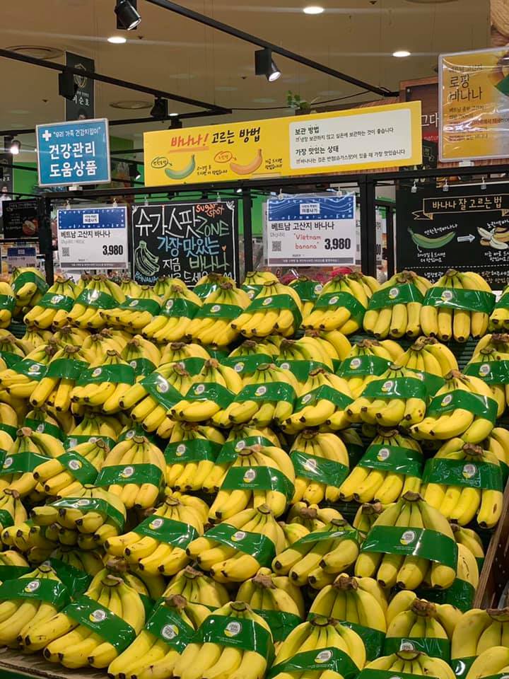 Chuối Việt Nam lần đầu tiên được bày bán tại siêu thị iMart của Hàn Quốc tháng 7/2020.