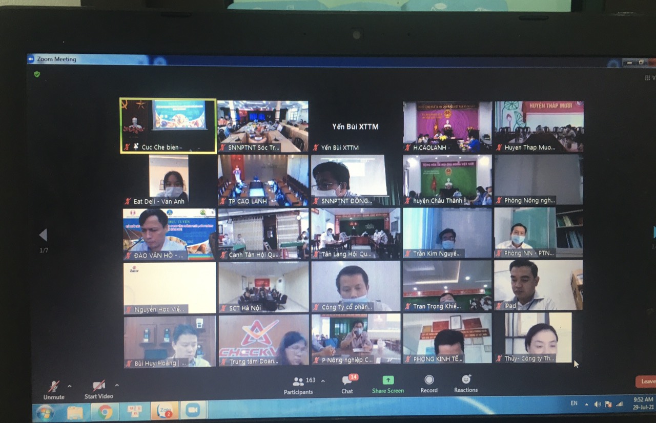 Hội nghị trực tuyến tiêu thụ nhãn cho Sóc Trăng và Đồng Tháp