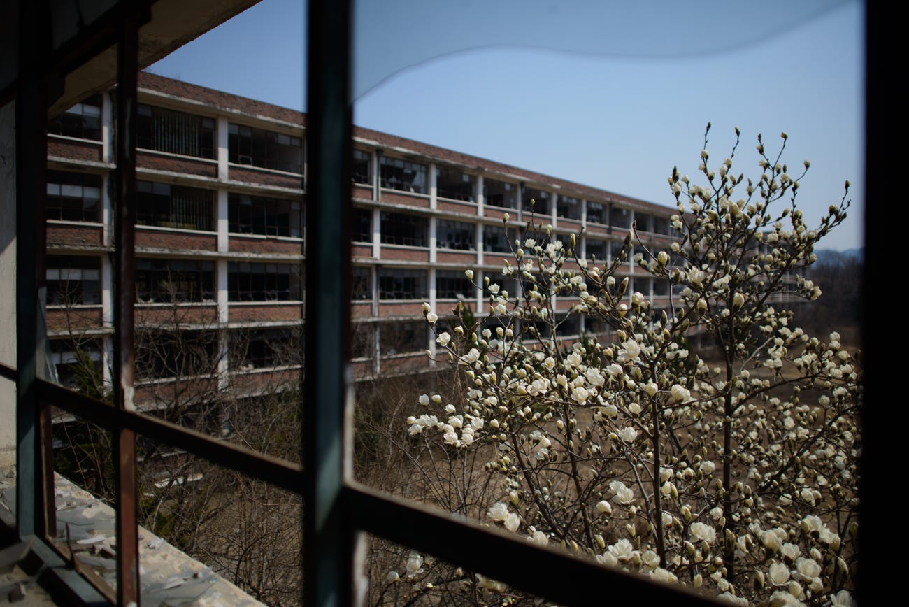 Theo cư d&acirc;n của nhiều th&agrave;nh phố như Daejeon, những ng&ocirc;i trường bỏ hoang g&acirc;y ảnh hưởng lớn tới mỹ quan đ&ocirc; thị. Kim Hwa-yeon, 29 tuổi, từng sống tại Daejeon, cho rằng những trường học bỏ hoang n&agrave;y 