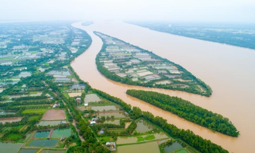 Trà Vinh được chuyển đổi 38,5ha đất trồng lúa sang đất phi nông nghiệp