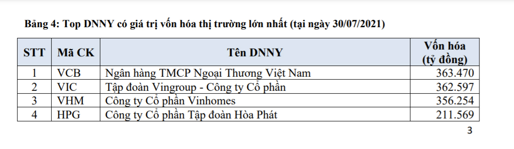 Top DNNN có giá trị vốn hóa thị trường lớn nhất, tại ngày 30/07/2021.