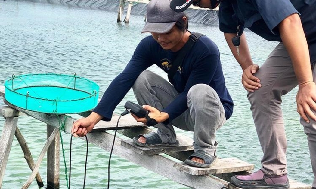 Ứng dụng công nghệ vào nuôi tôm