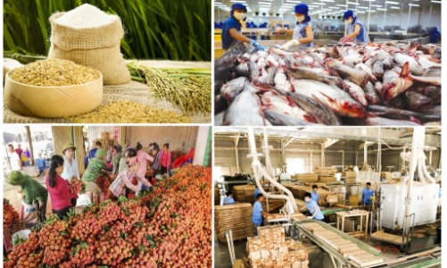 Xuất khẩu nông lâm thủy sản: Cuối năm còn nhiều gian nan