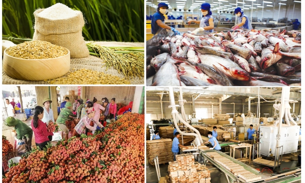 Xuất khẩu nông, lâm, thủy sản vẫn tăng trưởng dù còn rất nhiều khó khăn.