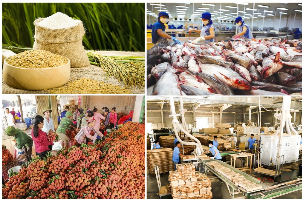 Xuất khẩu nông, lâm, thủy sản vẫn tăng trưởng dù còn rất nhiều khó khăn.