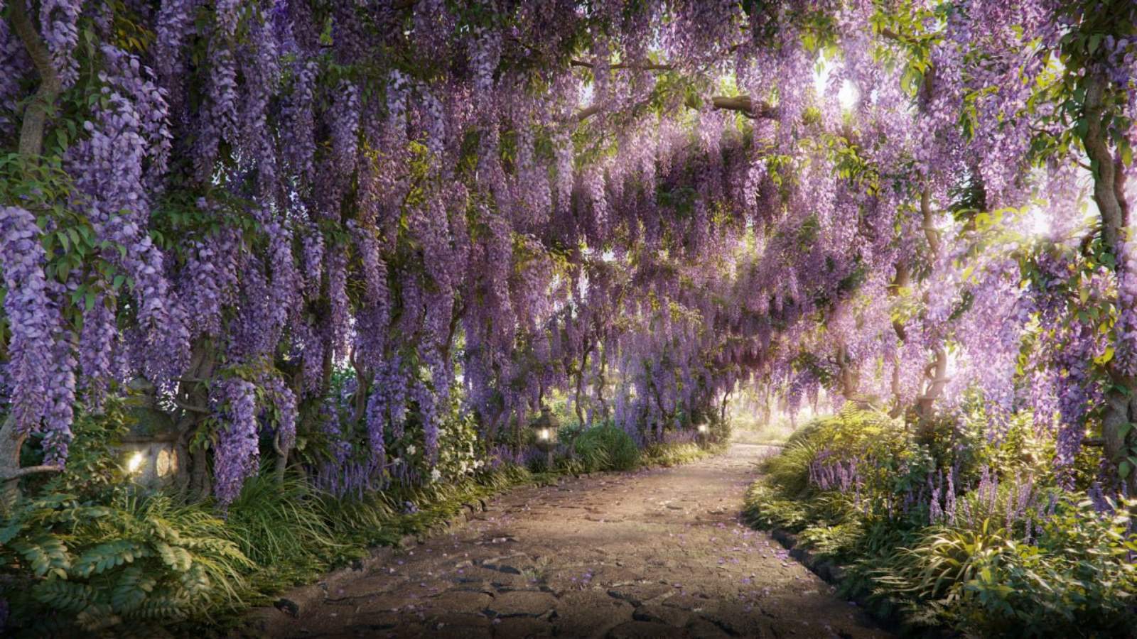 Đường hoa tử đằng tại The Landmark.