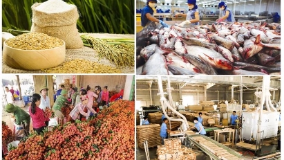 Agri exports growing but problems linger