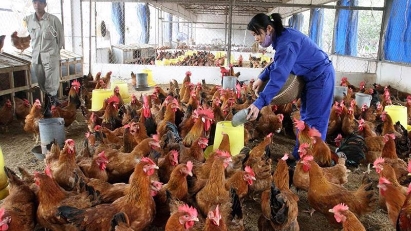 Agri products failing to reach retailers