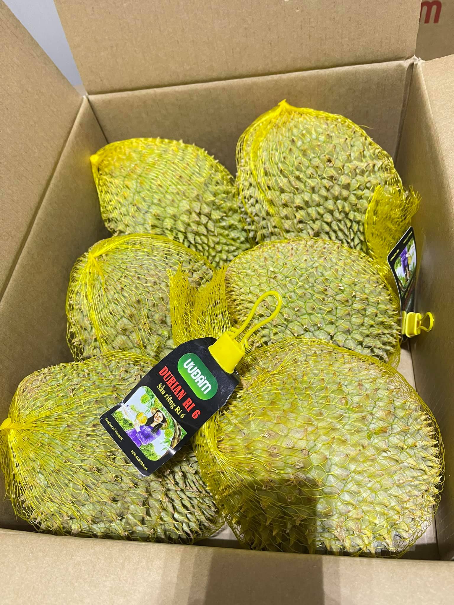 Hơn 15 tấn sầu riêng đông lạnh của Công ty Ưu Đàm xuất sang Úc cũng đã “cháy hàng” chỉ trong 2 ngày 23 và 24/7/2021. 