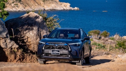 Vietnam in position to develop hybrid cars