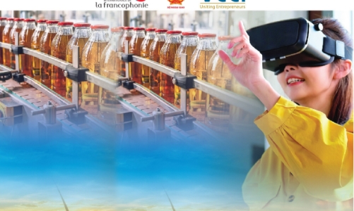 Cơ hội để doanh nghiệp Việt hợp tác với doanh nghiệp trong cộng đồng Pháp ngữ