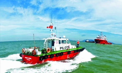 Đồng loạt giảm giá dịch vụ hoa tiêu, lai dắt cho chủ tàu nội địa