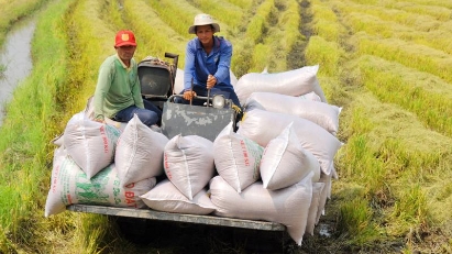 Banks directed to support rice business