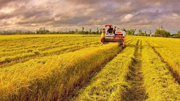 Kiến nghị mở luồng xanh cho đường thủy để 