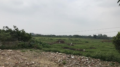 Real estate investors still keen on Bac Giang & Bac Ninh