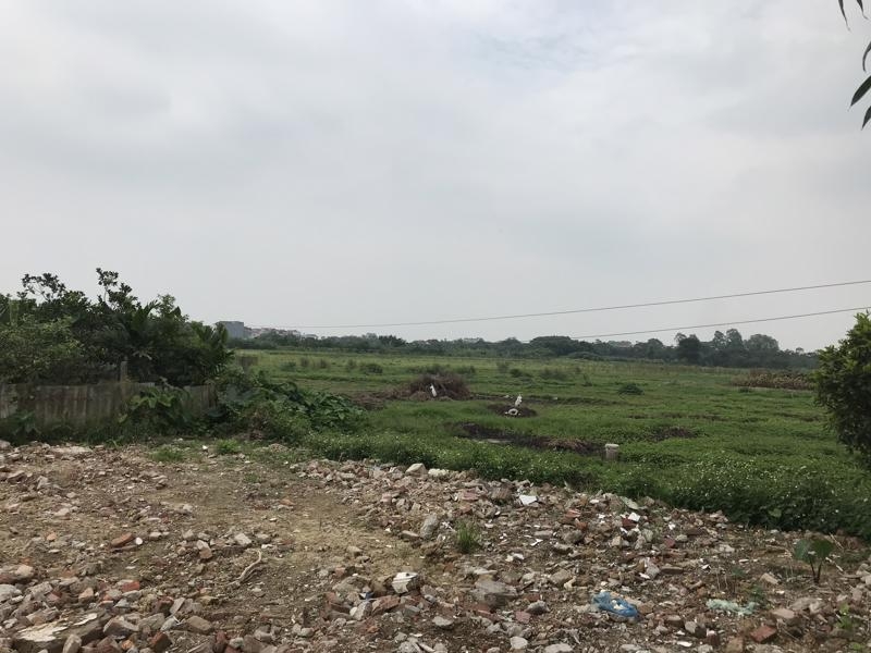 Real estate investors still keen on Bac Giang & Bac Ninh