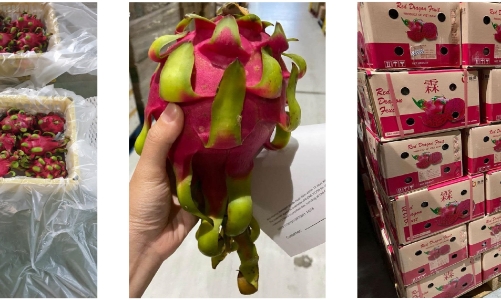 Các doanh nghiệp nghiên cứu công nghệ đóng gói để tăng sức cạnh tranh nông sản Việt