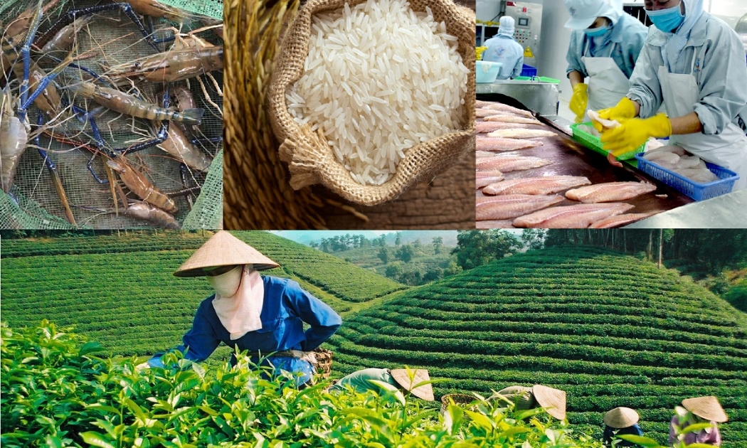 Nông, thuỷ sản có nhu cầu cao tại Algeria
