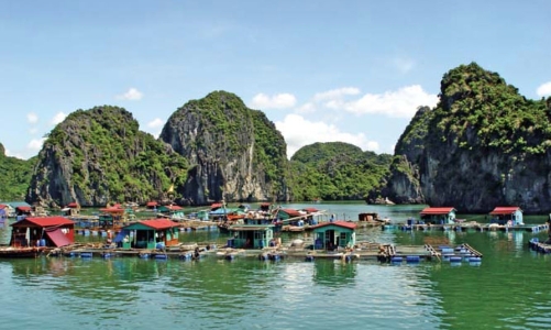 Hải Phòng: Hơn 6.000 tấn thủy sản trên vịnh Cát Bà đang chờ được hỗ trợ tiêu thụ