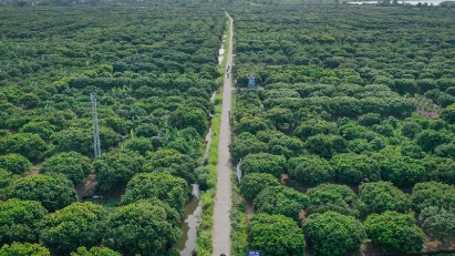 Hai Duong to develop Thanh Ha into eco-tourism area 