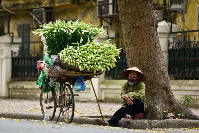 Ảnh minh họa. 