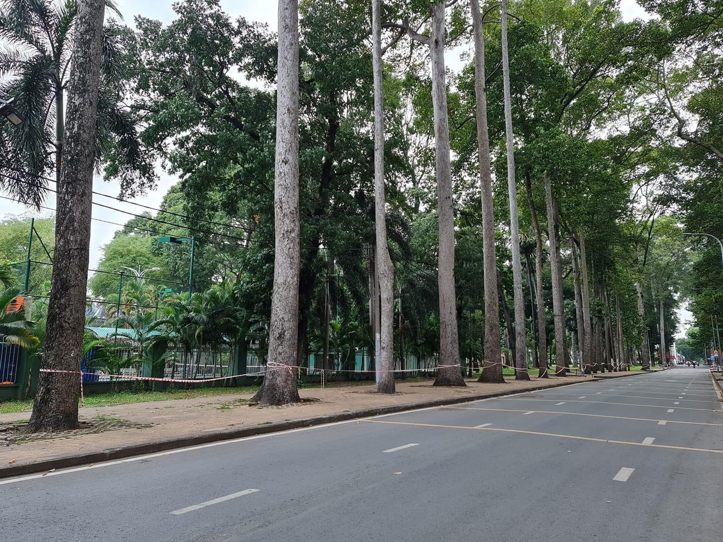 TP.HCM trong những ng&agrave;y gi&atilde;n c&aacute;ch x&atilde; hội theo Chỉ thị 16