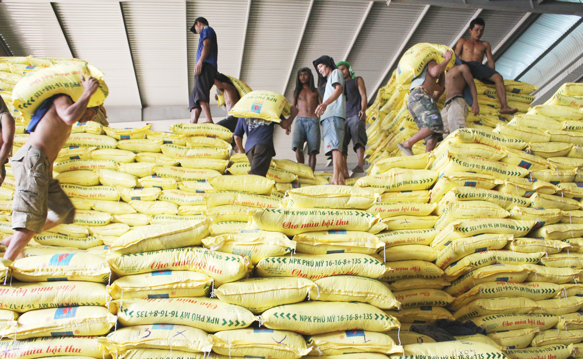 Nông dân không chịu đựng nổi với giá phân bón tăng quá cao