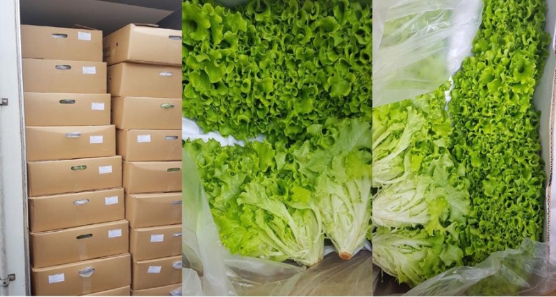 Packaging and storage key to agricultural preservation