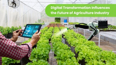 Farmers face difficulties selling goods online