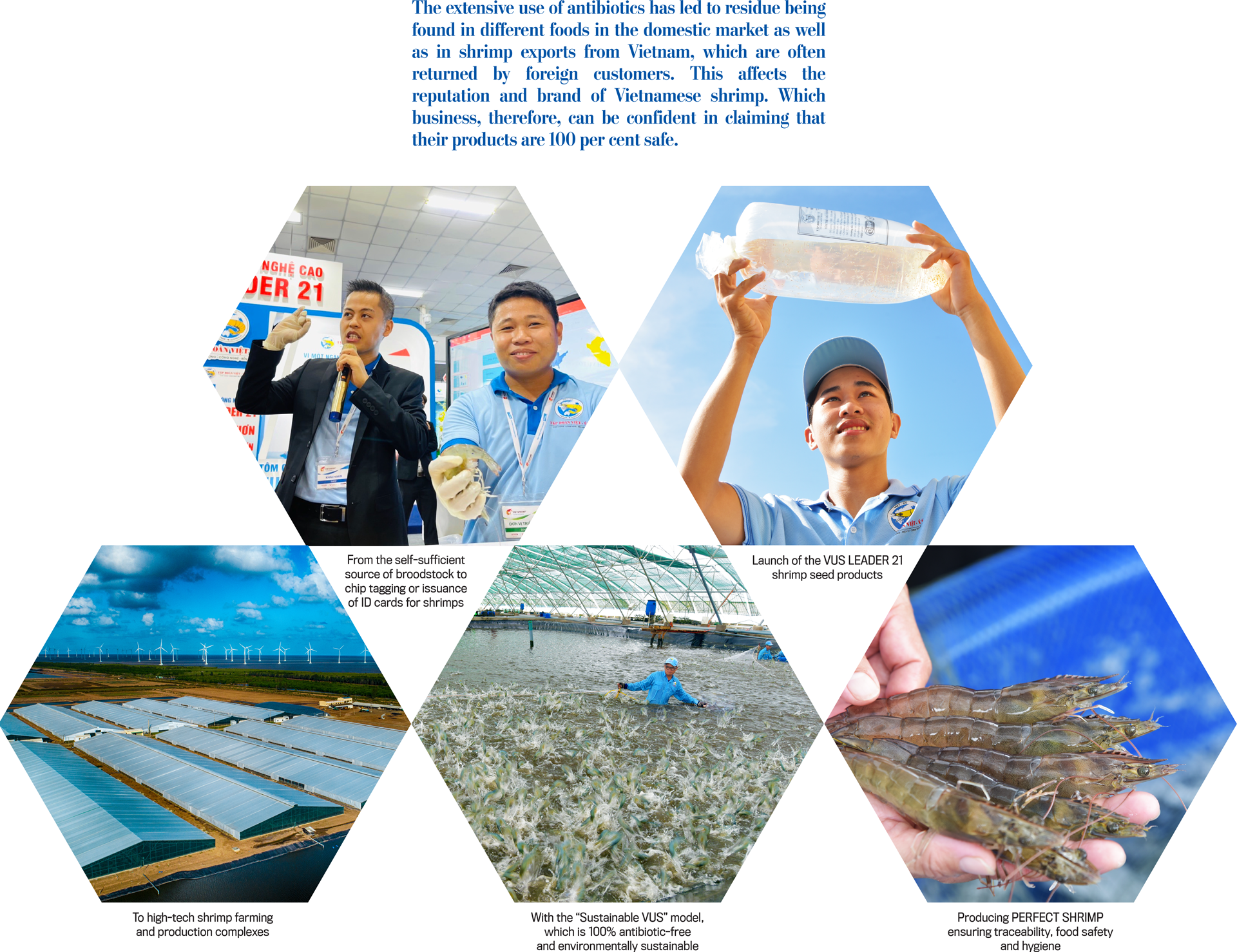 VIET UC SEAFOOD CORPORATION: 20 YEARS OF DEVELOPING A HIGH TECH SHRIMP INDUSTRY - Ảnh 2