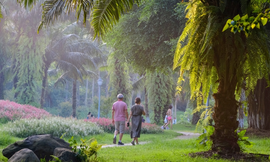Mỗi sớm, cụ Hoài đi dạo một vòng hồ cùng cụ bà.