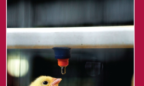 Vietnam Economic Times August 2021