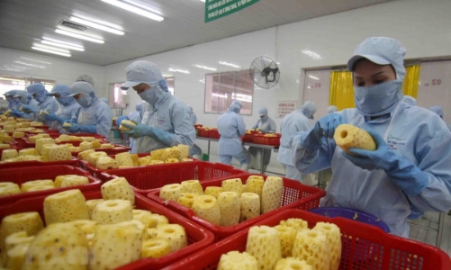 Doanh nghiệp TP.HCM trước nguy cơ đứt gãy chuỗi cung ứng nguyên liệu