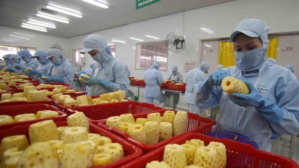 Doanh nghiệp TP.HCM trước nguy cơ đứt gãy chuỗi cung ứng nguyên liệu