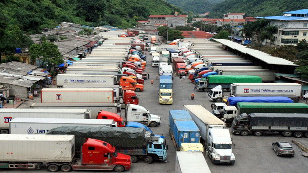 Bộ Công Thương đề nghị doanh nghiệp chuyển nhanh sang xuất khẩu chính ngạch.