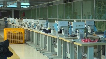 VACD proposes solutions to support businesses