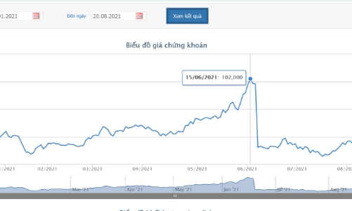 Mẹ của Tổng giám đốc VCI đăng ký bán hết 1,445 triệu cổ phiếu 
