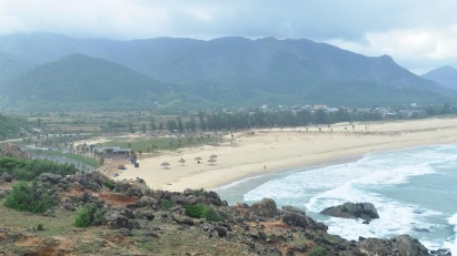 Binh Dinh to review conversion of forested land