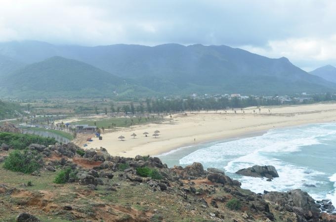 Binh Dinh to review conversion of forested land