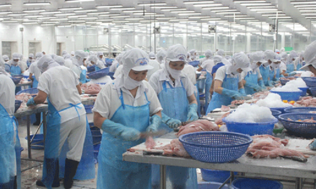 Chế biến gia tăng giá trị cho thủy sản.