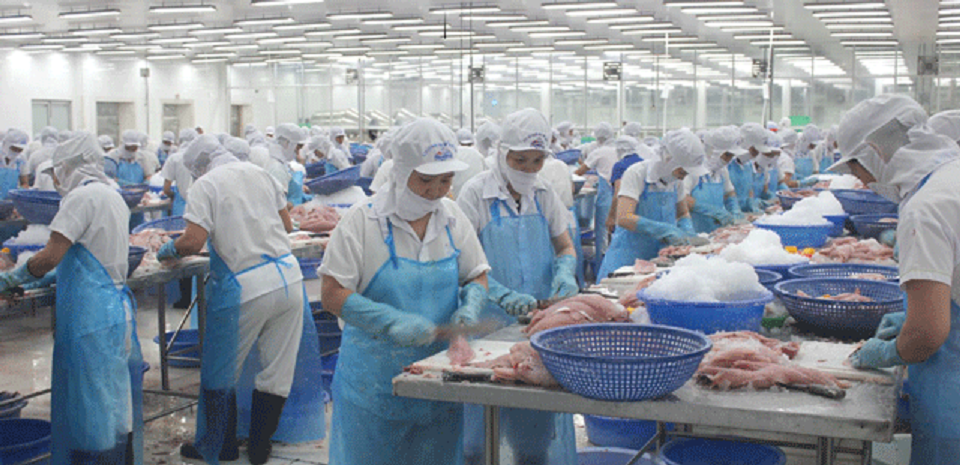 Chế biến gia tăng giá trị cho thủy sản.