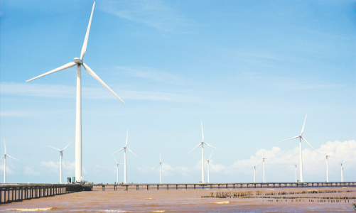 Vì sao điện gió ngoài khơi khó triển khai?